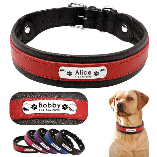 RCC Personalized Genuine Leather Dog Collar