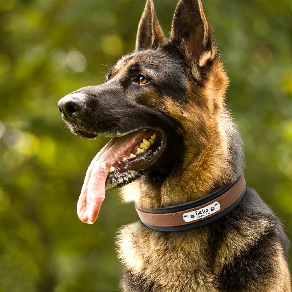 RCC Personalized Genuine Leather Dog Collar
