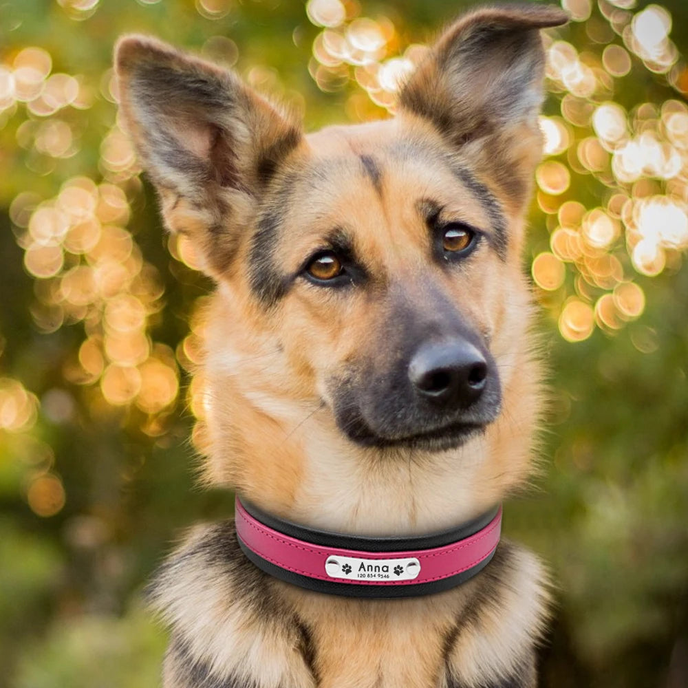 RCC Personalized Genuine Leather Dog Collar