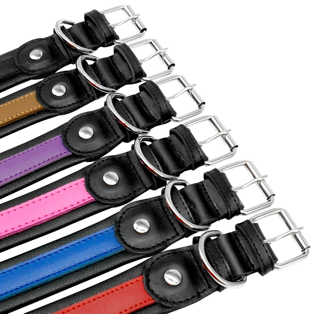 RCC Personalized Genuine Leather Dog Collar