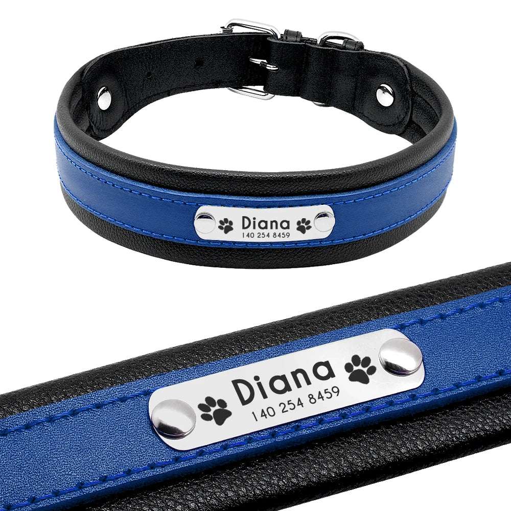RCC Personalized Genuine Leather Dog Collar