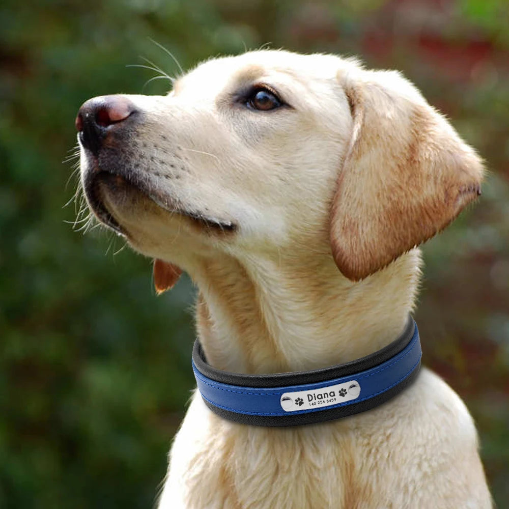 RCC Personalized Genuine Leather Dog Collar