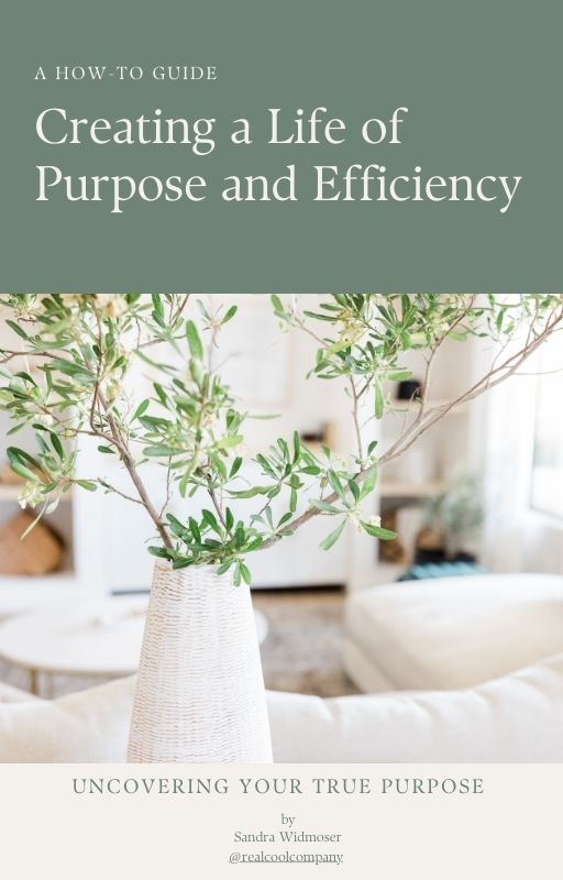 Creating a Life of Purpose and Efficiency