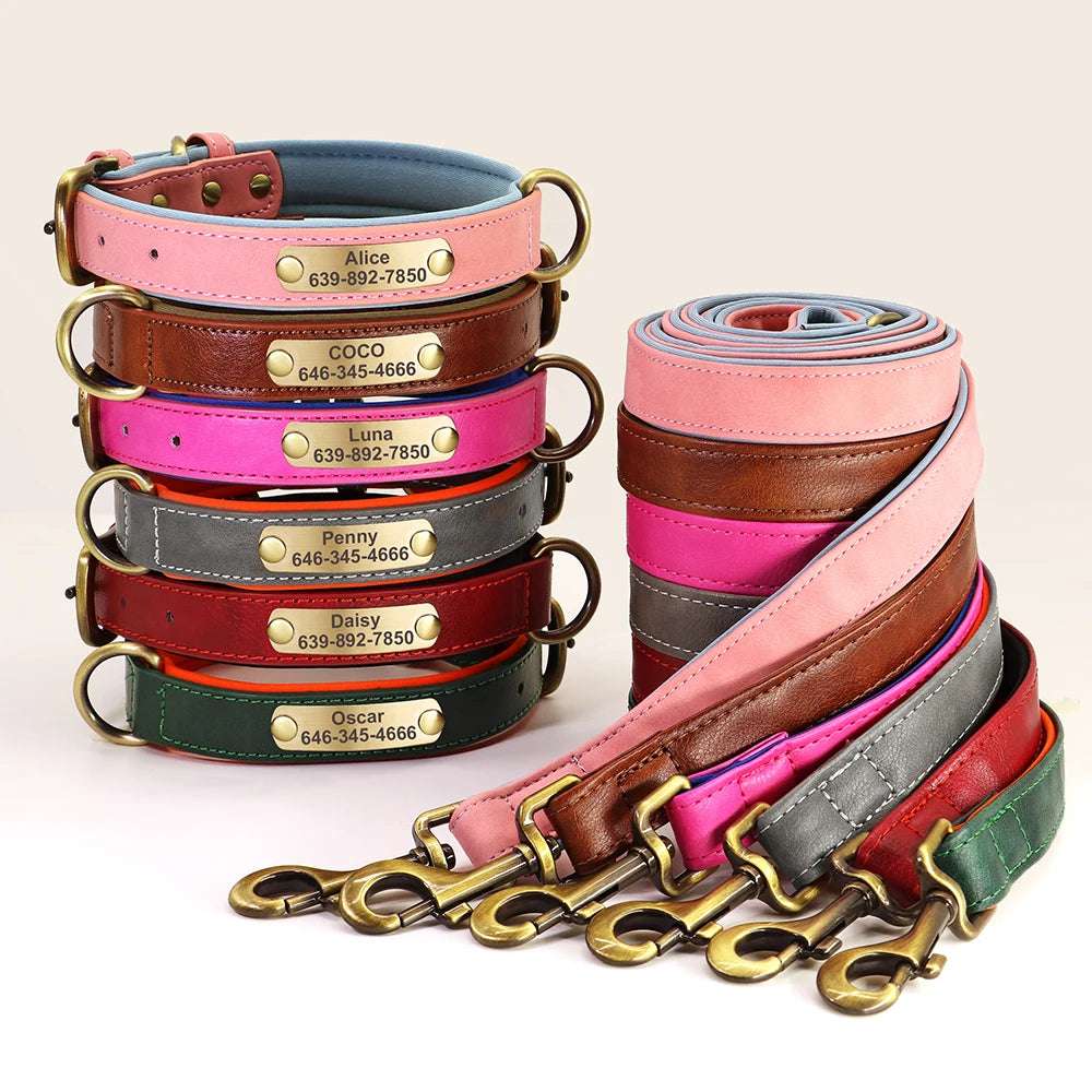 Personalized Dog ID Padded Collar Leash Set