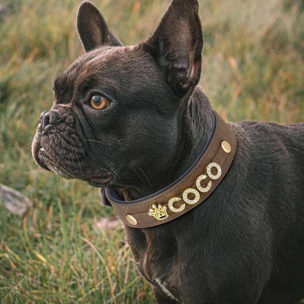 Personalized PU Leather Rhinestone Dog Name Collars on dog