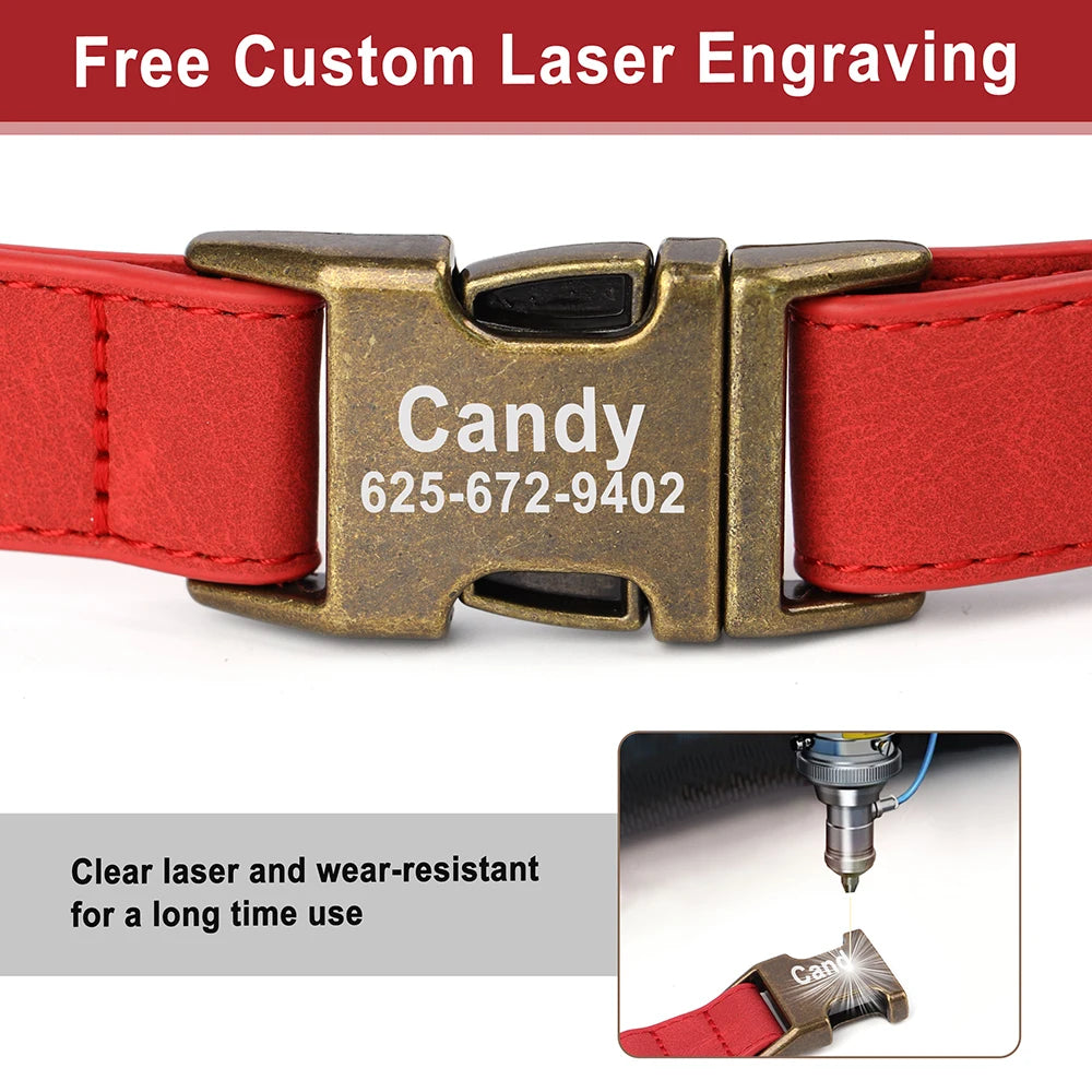 Personalized Dog ID Engraved Metal Buckle Collar personalized