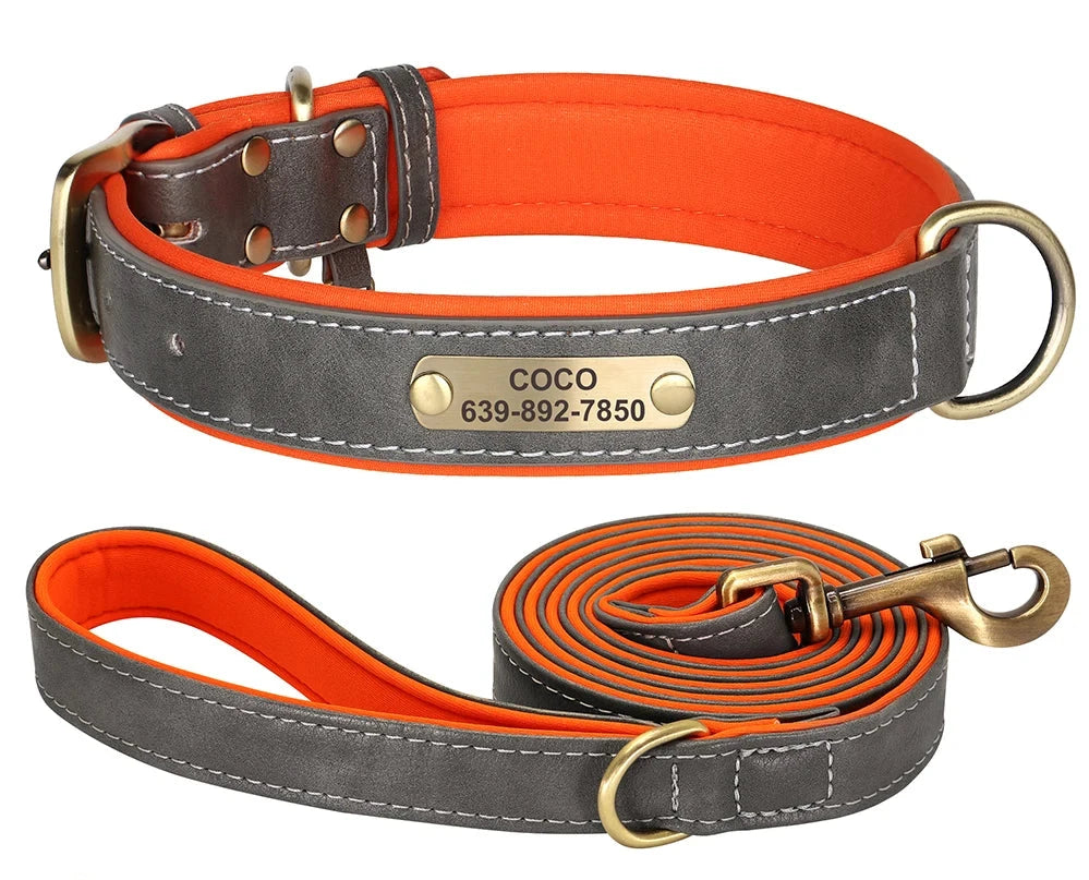 Personalized Dog ID Padded Collar Leash Set grey