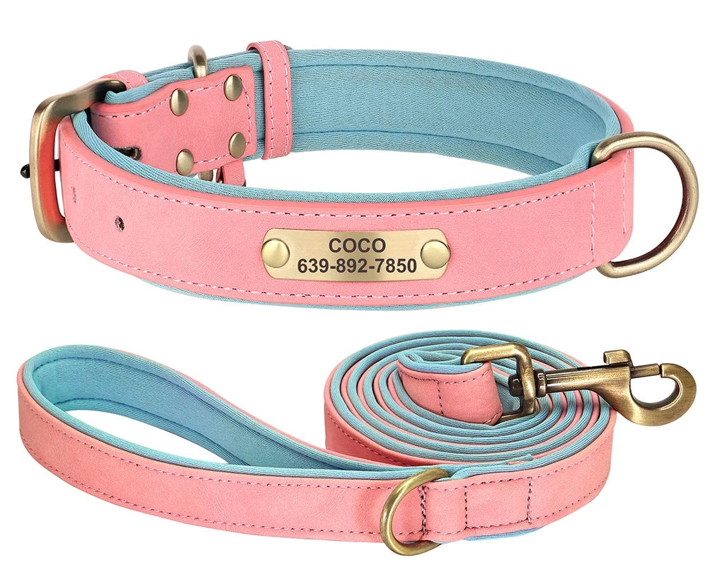 Personalized Dog ID Padded Collar Leash Set - pink