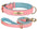 Personalized Dog ID Padded Collar Leash Set - pink
