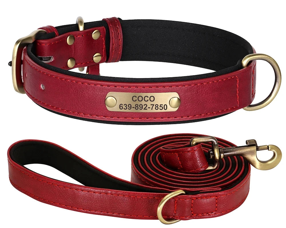 Personalized Dog ID Padded Collar Leash Set-red