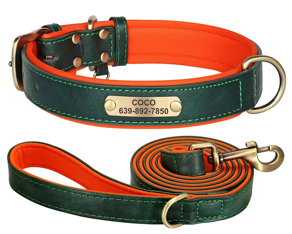 Personalized Dog ID Padded Collar Leash Set-green