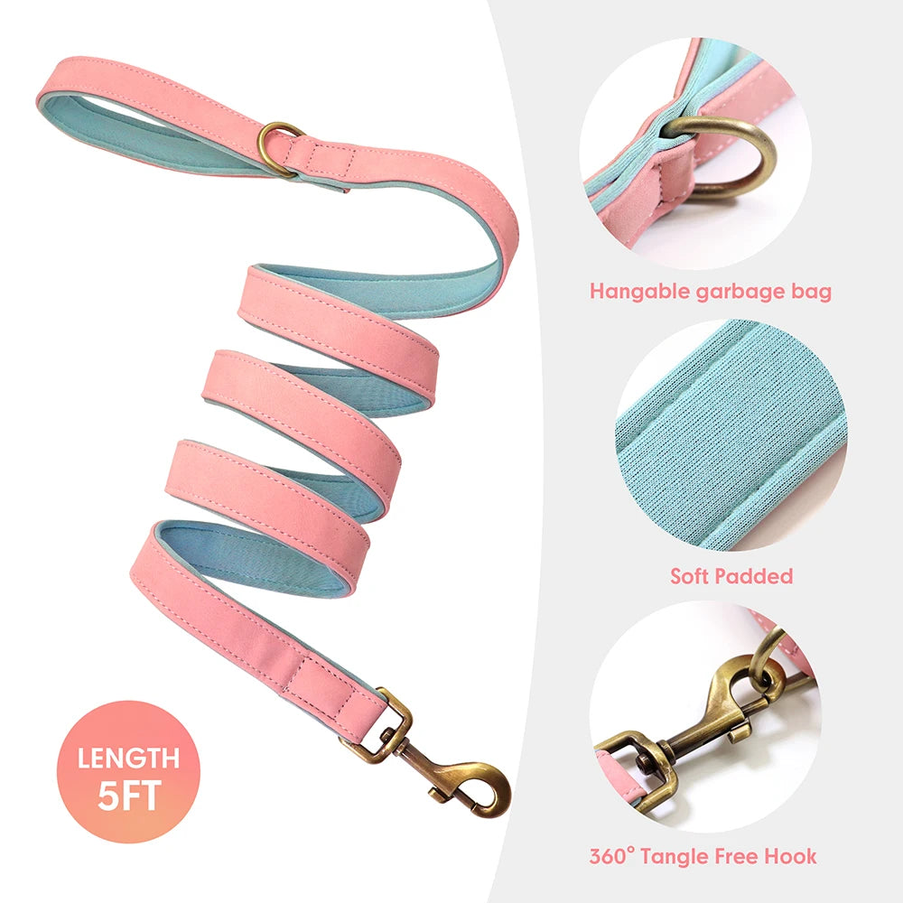Personalized Dog ID Padded Collar Leash Set details