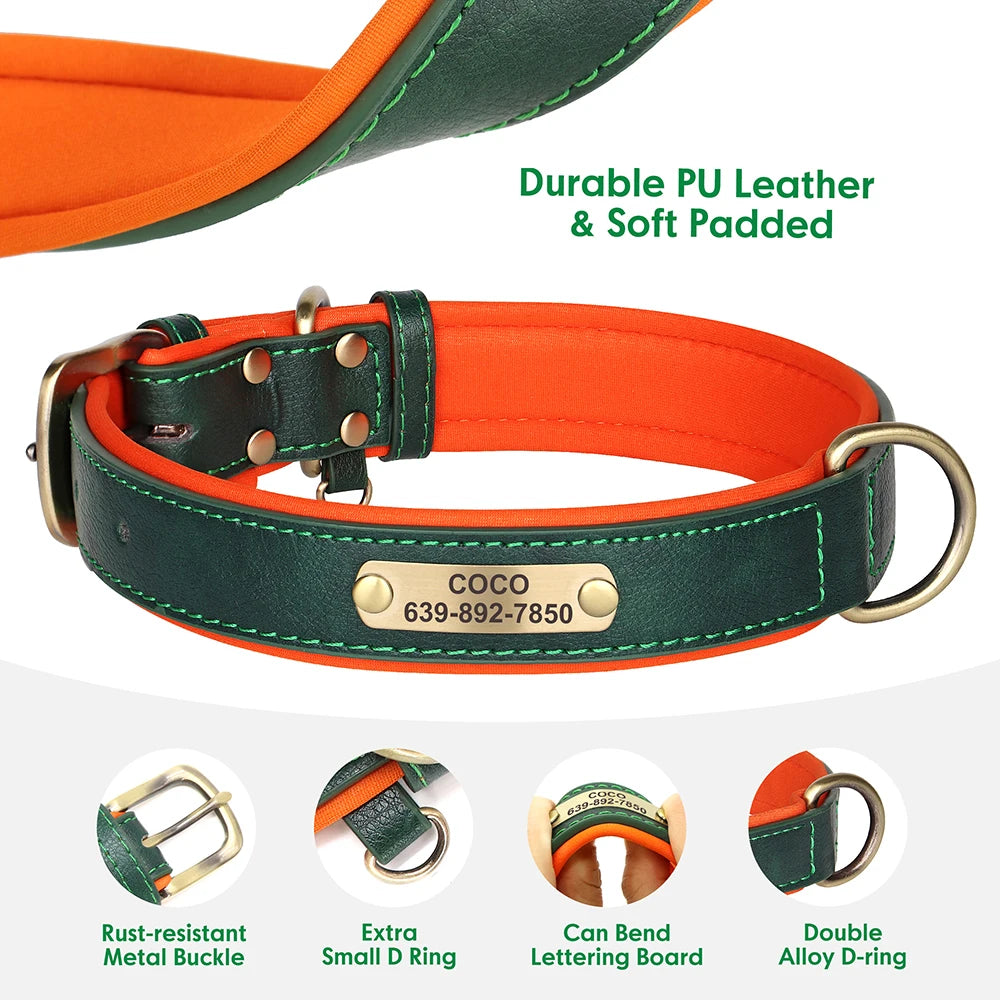 Personalized Dog ID Padded Collar Leash Set