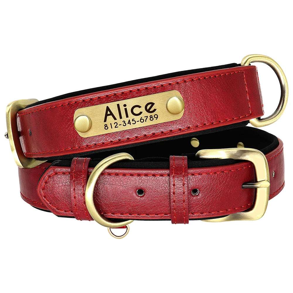 RCC Personalized Padded PU Leather Pet ID Collars