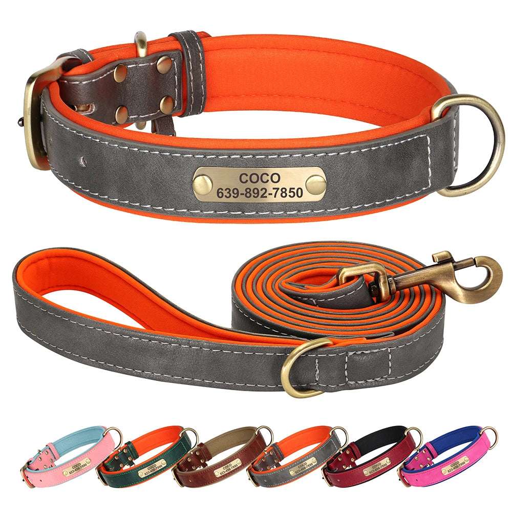 Personalized Dog ID Padded Collar Leash Set Color Choices